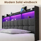 Lit plate-forme King Gris foncé / Gris clair avec tête de lit LED et chargement USB, pour 1