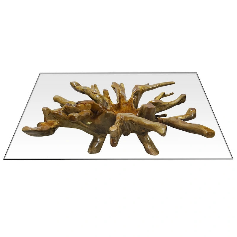 Table basse en racine de teck miel avec plateau en verre carré, 2-4 places